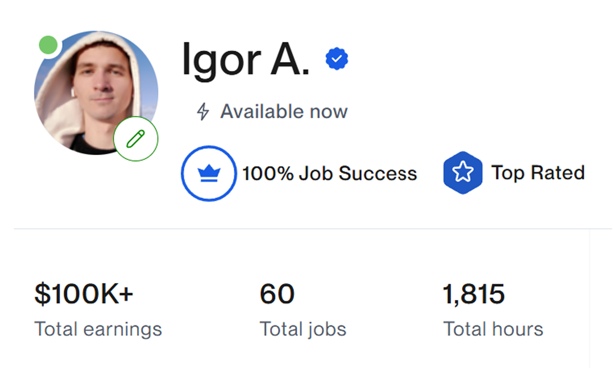 Professional experience